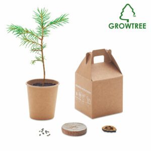 Kit de graines de pin GROWTREE