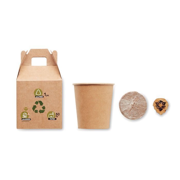 Kit de graines de pin GROWTREE – Image 6